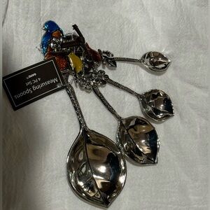 Silver Measuring Spoons with Colorful Bird Accents Ganz NWT